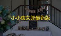 小小夜女郎最新版